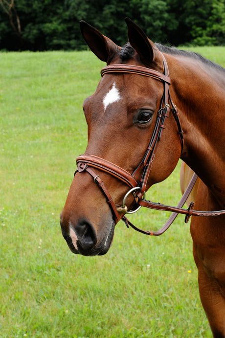 ADT Tack Starman Bridle with fancy stitched rubber or lace reins