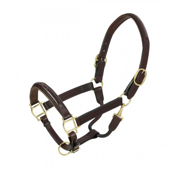 Aramas 1" Fancy Raised and stitched Halter