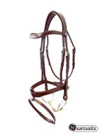 Antares Signature fancy stitch bridle with flash