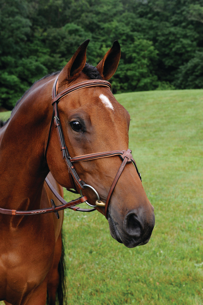 ADT Imperial Figure 8 Bridle with Fancy stitched rubber reins