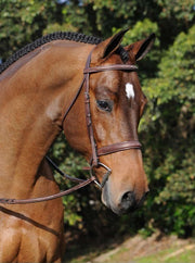 ADT Tack Tribute Bridle, with raised fancy laced reins
