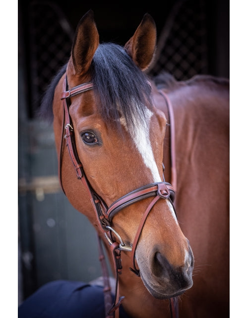 Penelope Leather Bridle Without Reins